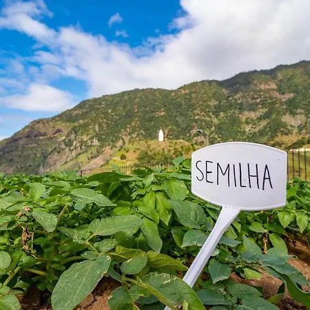 Bauernhof Quinta Vale Vitis *