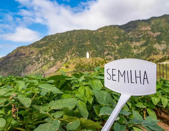 Farm stay Quinta Vale Vitis *