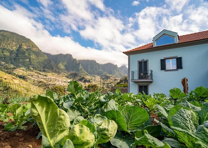 Quinta Vale Vitis São Vicente