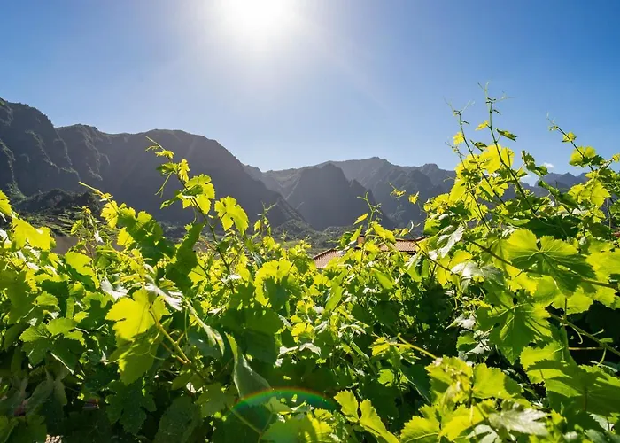 Farma Quinta Vale Vitis *