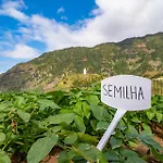 Farm stay Quinta Vale Vitis *