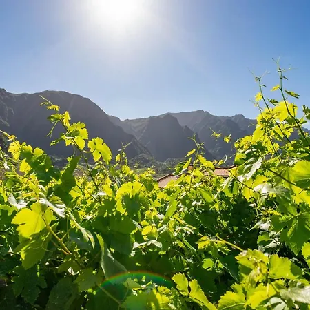 Farm stay Quinta Vale Vitis *