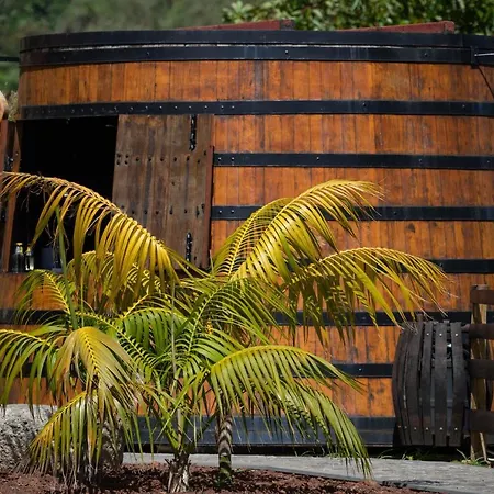 Quinta Vale Vitis Farm stay Sao Vicente (Madeira)
